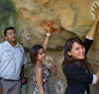 Nura Diya Aboriginal Wildlife Tour at Taronga Zoo - Kawana Tourism
