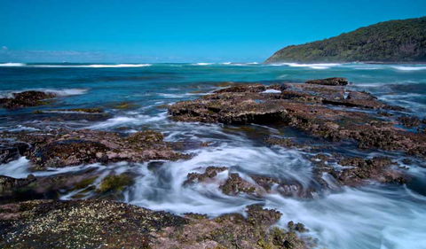Wyrrabalong National Park - Kawana Tourism 0