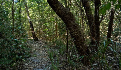 Wyrrabalong National Park - Kawana Tourism 2