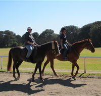 Centennial Parklands Equestrian Centre - Kawana Tourism