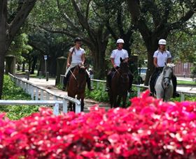 Centennial Parklands Horse Ride - Kawana Tourism 1