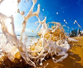Saltmotion Gallery - Kawana Tourism 1