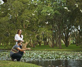 Centennial Parklands - Kawana Tourism 3