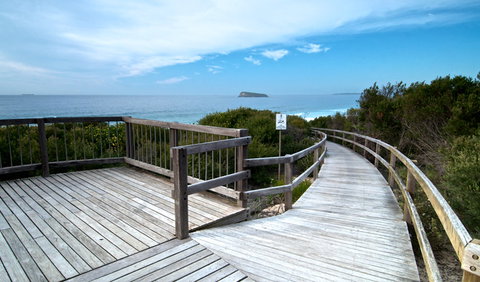 Tea Tree Picnic Area And Lookout - Kawana Tourism 0