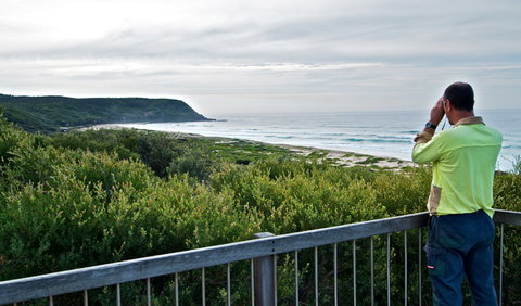 Tea Tree Picnic Area And Lookout - Kawana Tourism 2