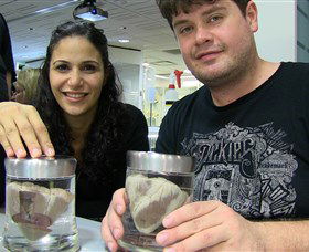 Museum Of Human Disease - Kawana Tourism 1