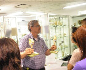 Museum Of Human Disease - Kawana Tourism 3