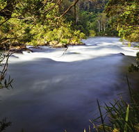 Nymboi-Binderay National Park - Kawana Tourism