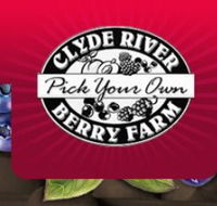 Clyde River Berry Farm - Kawana Tourism