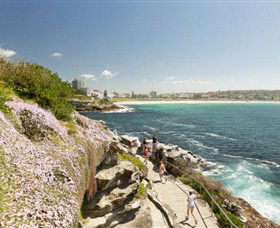 Bondi To Coogee Coastal Walk - Kawana Tourism 3