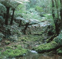 The Corn Trail Walk - Kawana Tourism