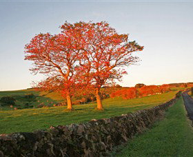 Saddleback Mountain Lookout - Kawana Tourism 2