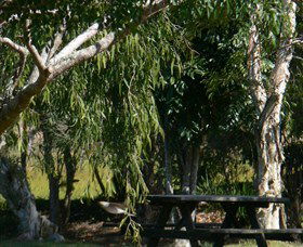 Casino NSW Kawana Tourism