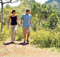 Hoddles Track - Kawana Tourism