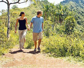 Hoddles Track - Kawana Tourism 0