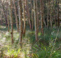 Anabranch loop track - Kawana Tourism