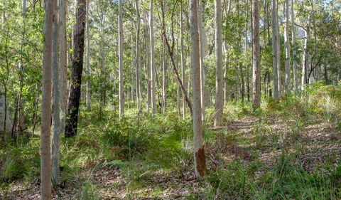 Anabranch Loop Track - Kawana Tourism 2