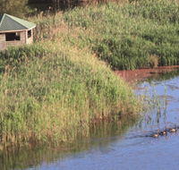 Spring Creek Bird Hide
