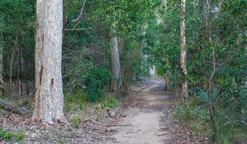 Delta Track - Kawana Tourism 0