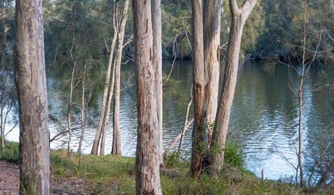 Delta Track - Kawana Tourism 2