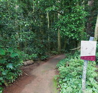 Walk with the Birds boardwalk - Kawana Tourism