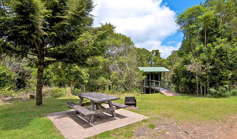 Antarctic Beech Picnic Area - Kawana Tourism 1