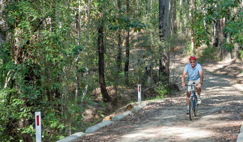 Monument Beach Ride From Bendalong - Kawana Tourism 2