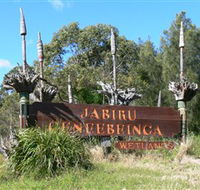Jabiru Geenbeebeinga Wetlands - Kawana Tourism