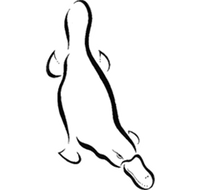 Platypus Gallery - Kawana Tourism