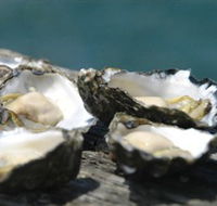 Jim Wilds Oyster Service - Kawana Tourism
