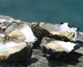 Jim Wilds Oyster Service - Kawana Tourism 0