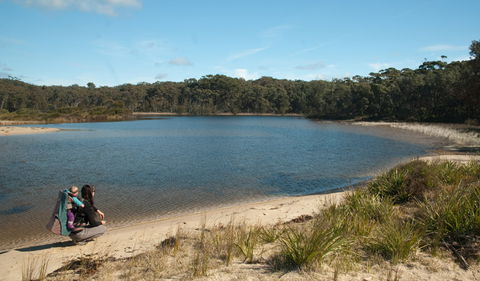 Nerindillah Lagoon Walking Track - Kawana Tourism 0