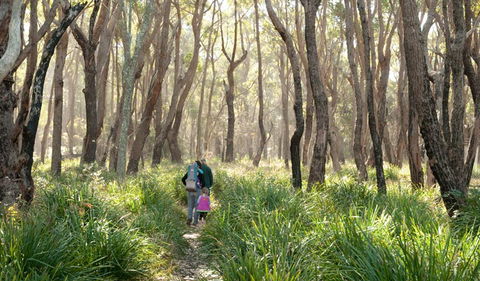 Nerindillah Lagoon Walking Track - Kawana Tourism 3