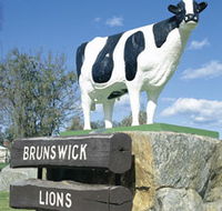 Brunswick Cow - Kawana Tourism