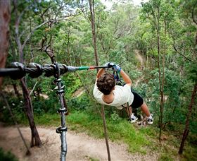 TreeTop Challenge - Kawana Tourism 0