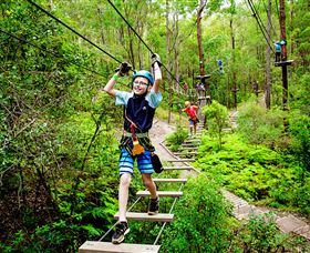 TreeTop Challenge - Kawana Tourism 1