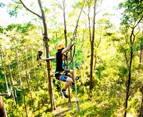 TreeTop Challenge - Kawana Tourism 3