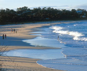 Mollymook Beach - Kawana Tourism 1
