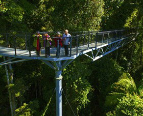 Tamborine Rainforest Skywalk - Kawana Tourism 1