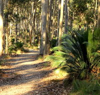 Square Head track 2 - Kawana Tourism