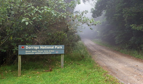 Never Never Picnic Area - Kawana Tourism 3
