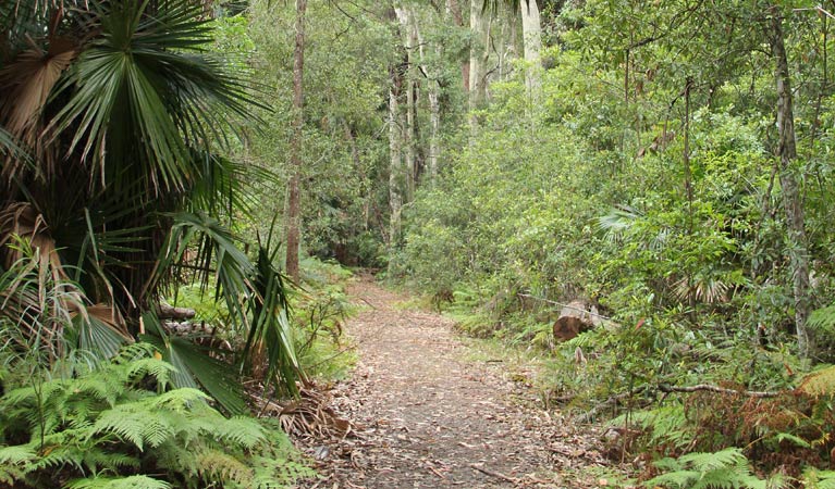 East Lynne NSW Kawana Tourism