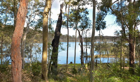 Lake Walking Track - Kawana Tourism 1