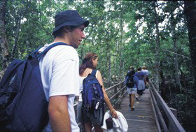 Wagawn - Kawana Tourism 1