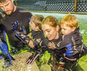 Birubi Point NSW Kawana Tourism