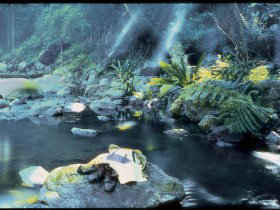 Coomera Circuit - Kawana Tourism 0