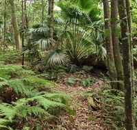 Durras Lake Discovery trail - Kawana Tourism