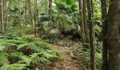 Durras Lake Discovery Trail - Kawana Tourism 0