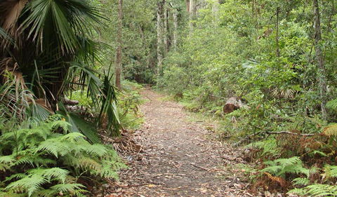 Durras Lake Discovery Trail - Kawana Tourism 1