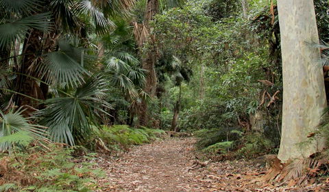 Durras Lake Discovery Trail - Kawana Tourism 2
